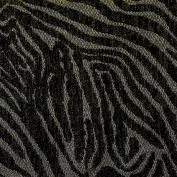 Picture of Tiger Charcoal