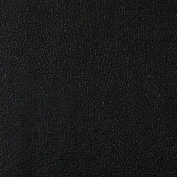 Picture of Champion Black Vinyl