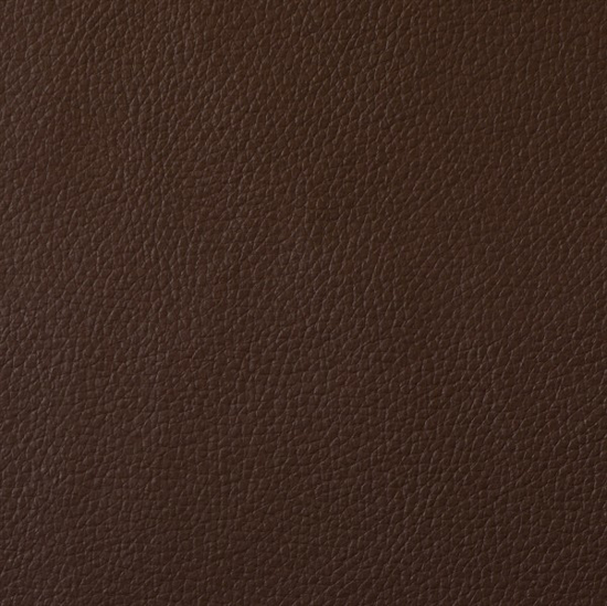 Picture of Champion Brown Vinyl