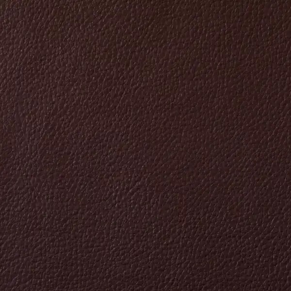 Picture of Champion Burgundy Vinyl