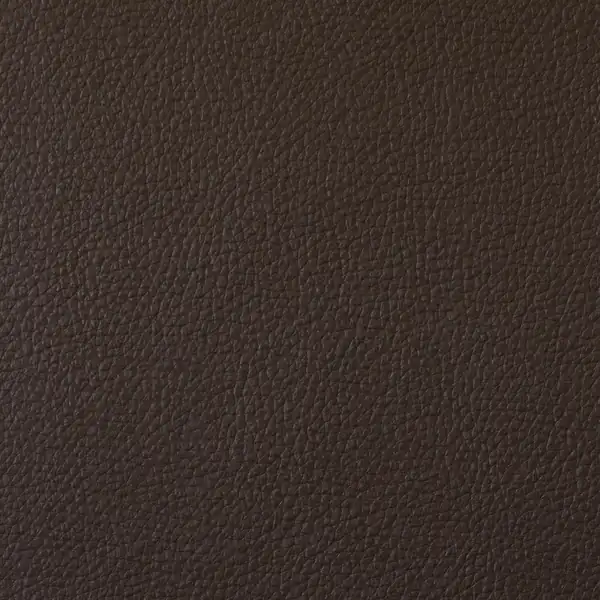 Picture of Champion Chocolate Vinyl