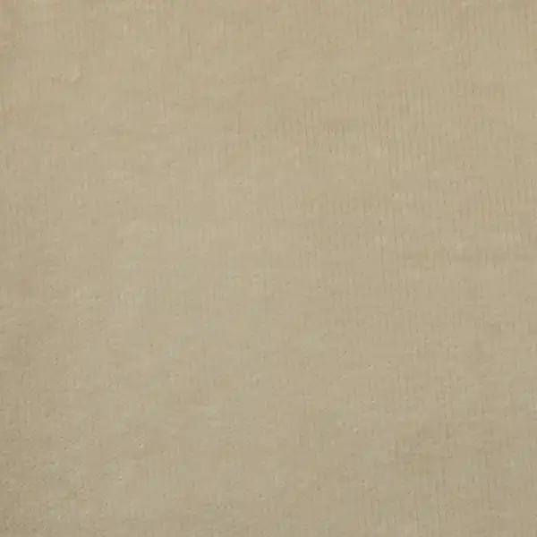 Picture of Queen Buckwheat