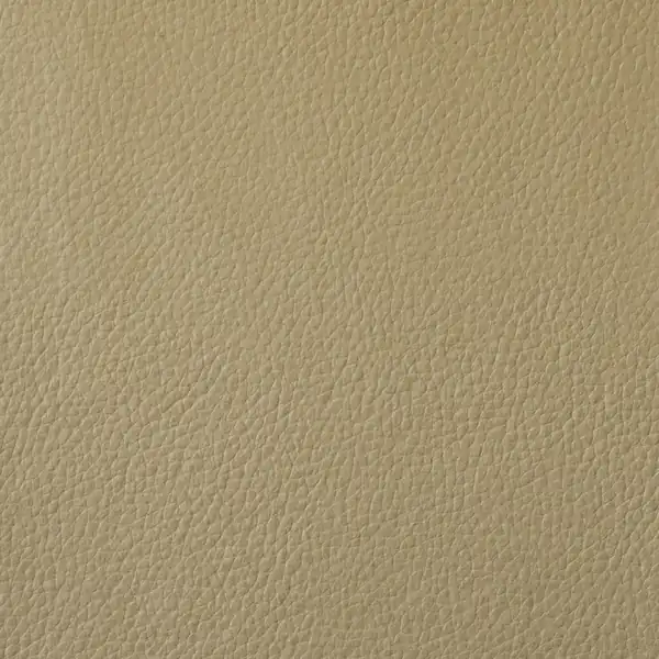 Picture of Champion Camel Vinyl