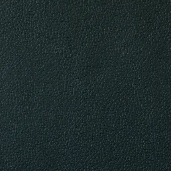 Picture of Champion Emerald Vinyl