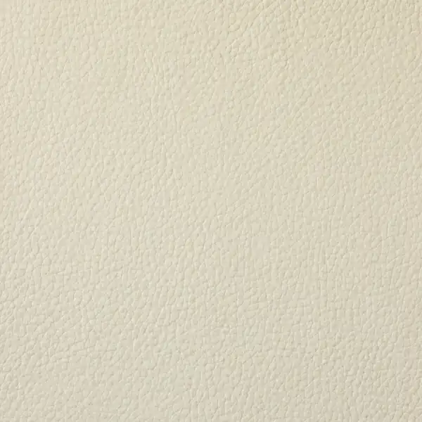 Picture of Champion Ice Cream Vinyl