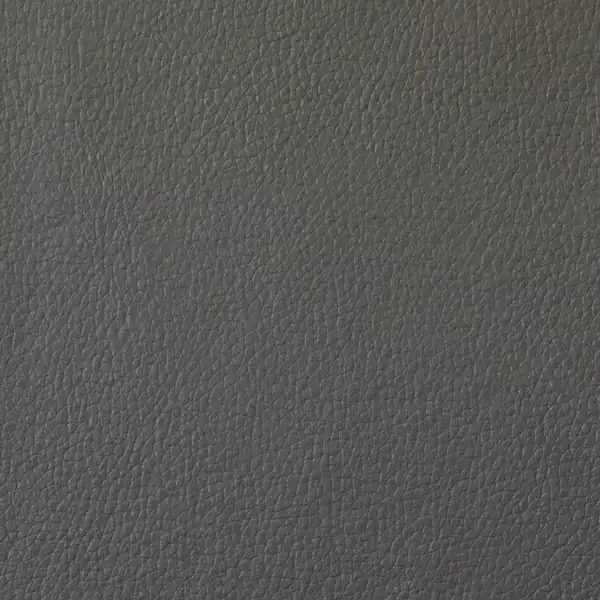 Picture of Champion Mercury Vinyl