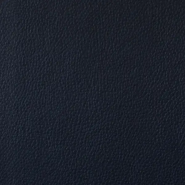 Picture of Champion Navy Blue Vinyl