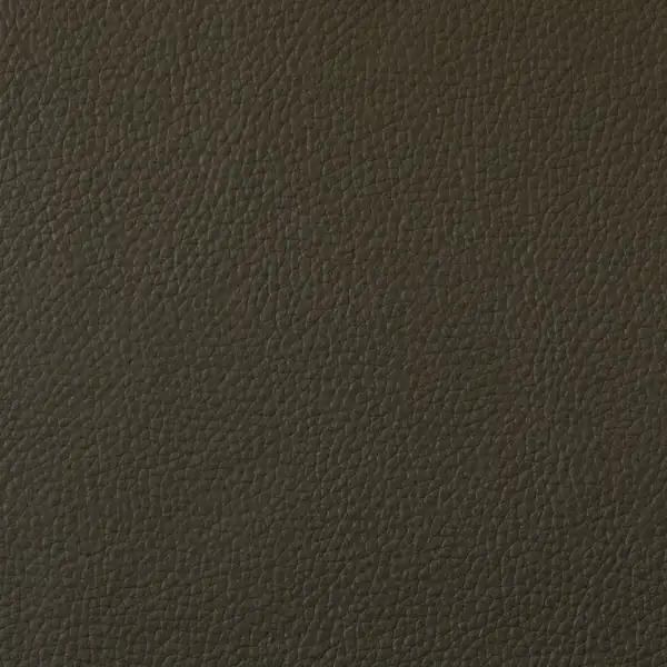 Picture of Champion Olive Vinyl