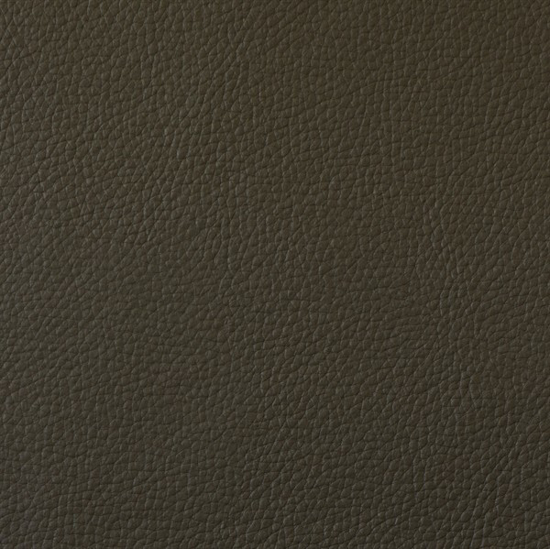 Picture of Champion Olive Vinyl