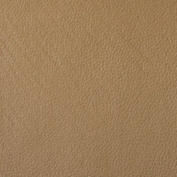 Picture of Champion Tan Vinyl