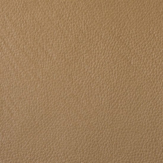 Picture of Champion Tan Vinyl