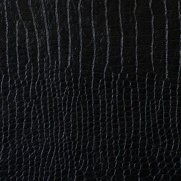 Picture of Alligator Black