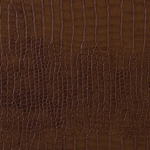 Picture of Alligator Bronze