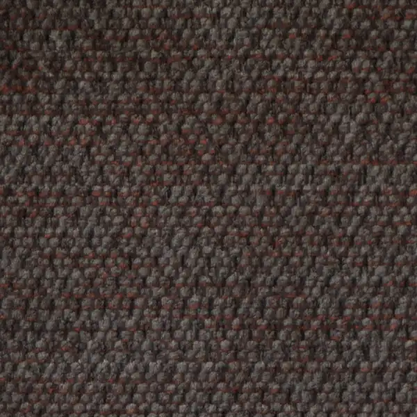 Picture of Shona Ash