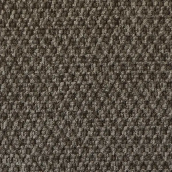 Picture of Shona Fawn