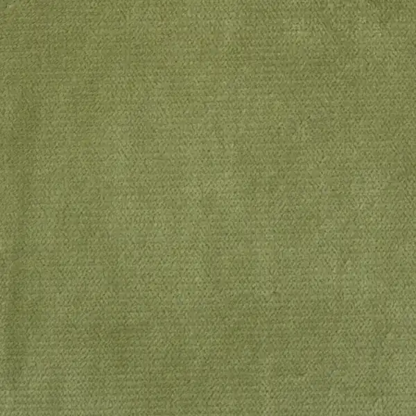 Picture of Queen Gecko