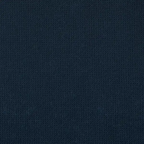 Picture of Endurance Blueberry