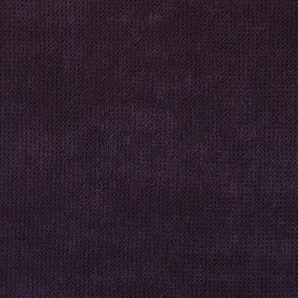 Picture of Endurance Grape