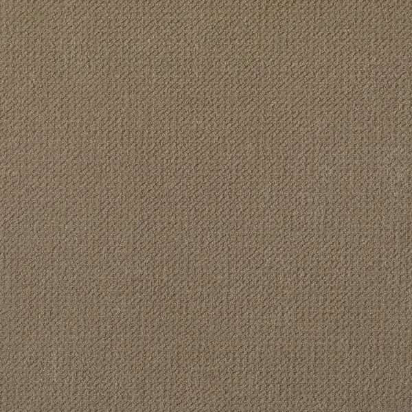 Picture of Endurance Tan