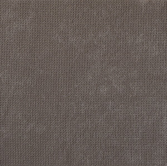 Picture of Endurance Taupe