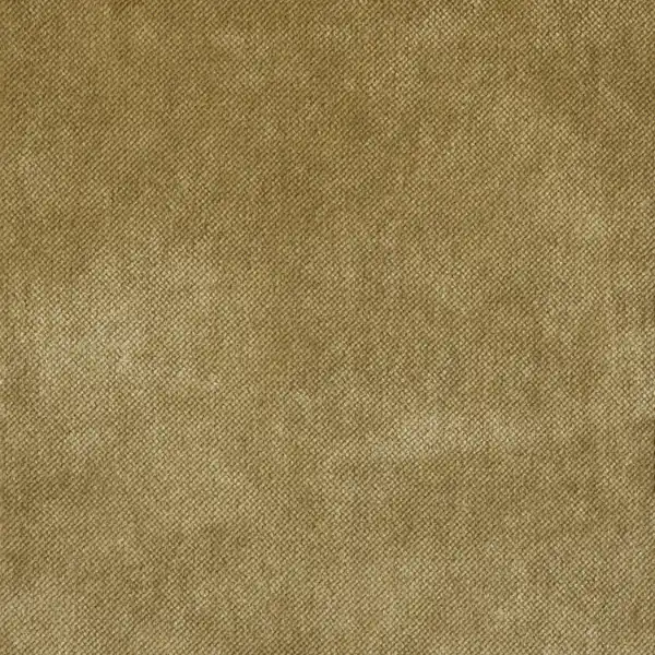 Picture of Mystere Macaw