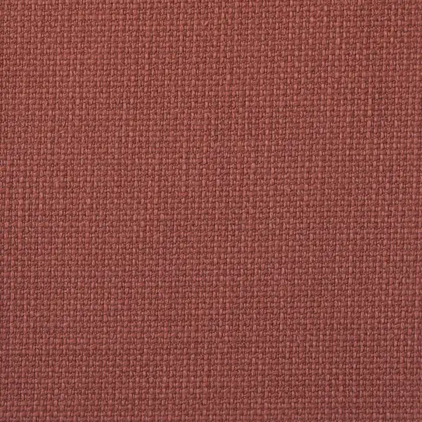 Picture of Napa Persimmon