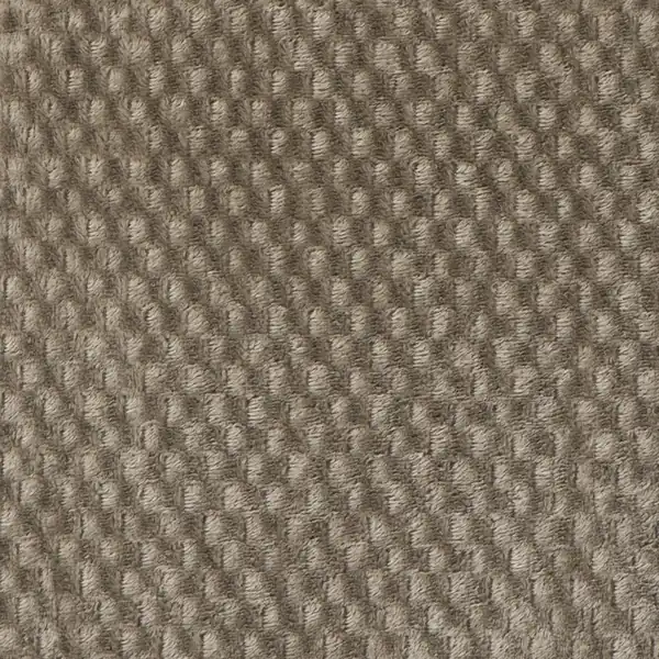 Picture of Cosmo Botanical