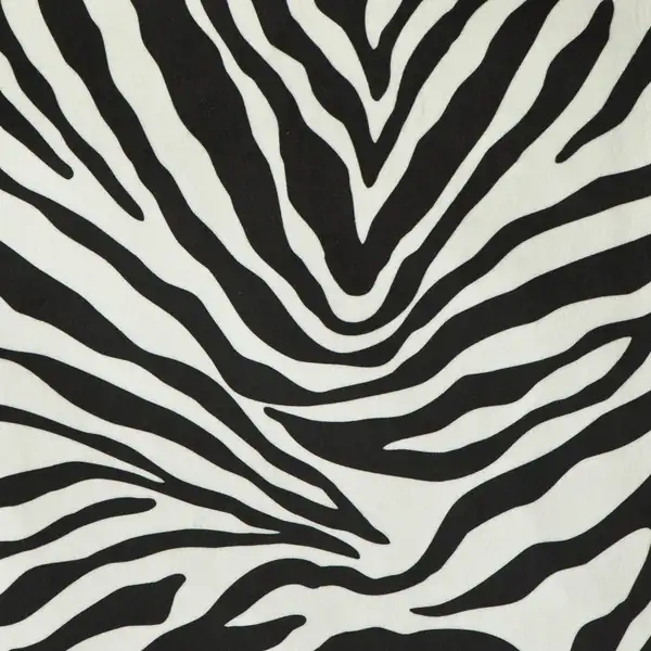 Picture of Zambia Black-white