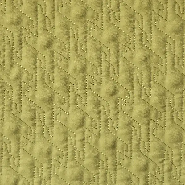 Picture of Fusion Parrot