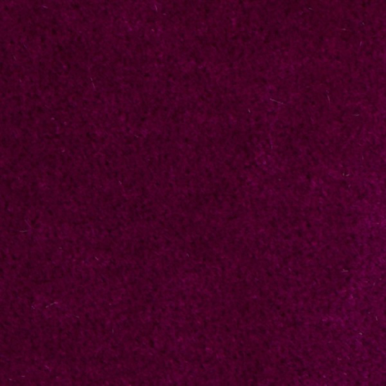Picture of Mohair Currant