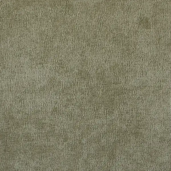 Picture of Sonoma Basil