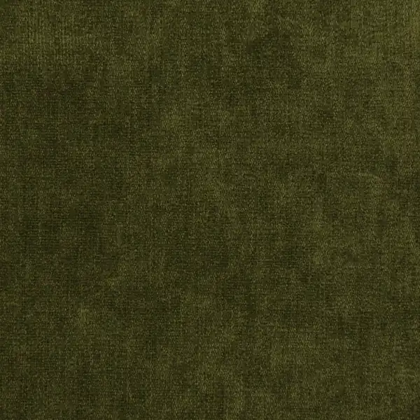 Picture of Sonoma Fern