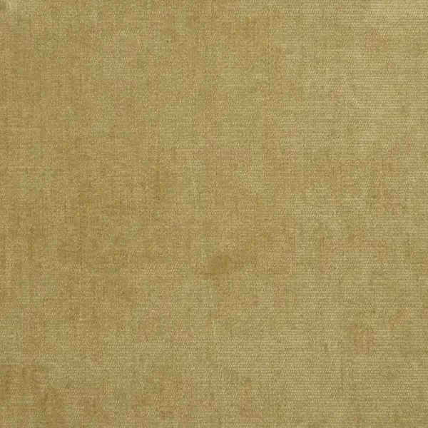 Picture of Sonoma Maize