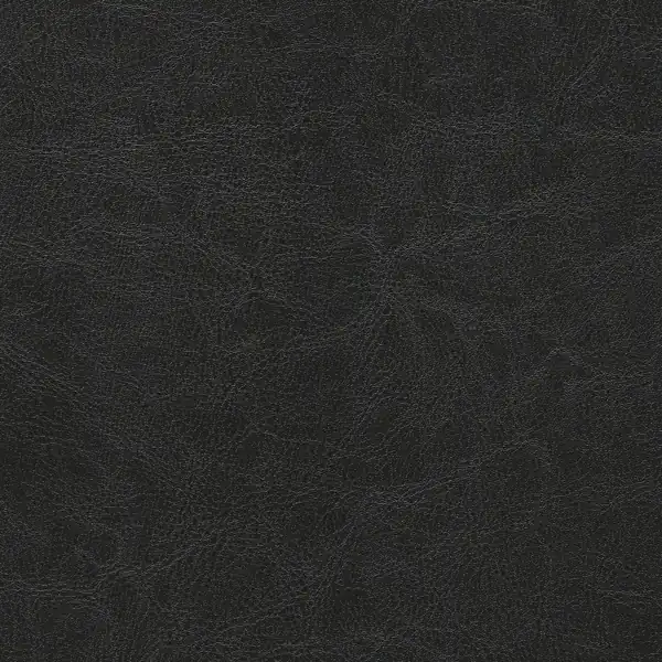 Picture of Bianca Black upholstery fabric.