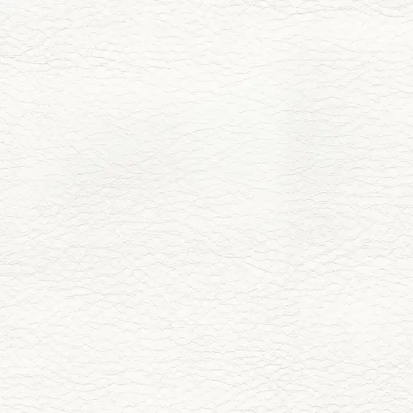 Picture of Rodeo White upholstery fabric.