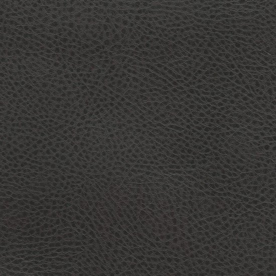Picture of Rodeo Leather upholstery fabric.
