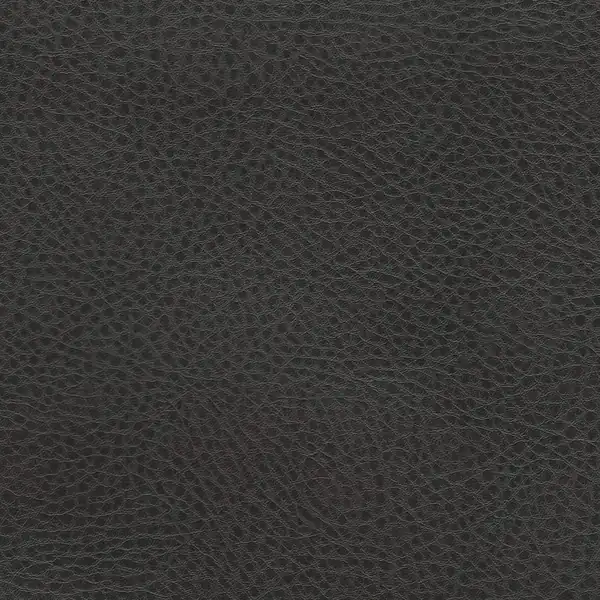 Picture of Rodeo Leather upholstery fabric.