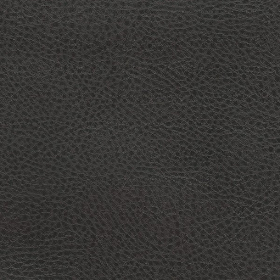 Picture of Rodeo Leather upholstery fabric.