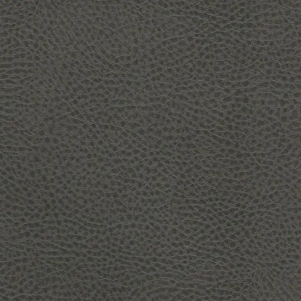 Picture of Rodeo Charcoal upholstery fabric.