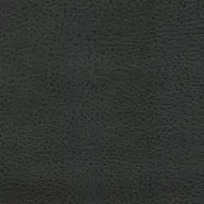 Picture of Rodeo Black upholstery fabric.