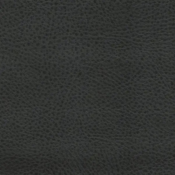 Picture of Rodeo Black upholstery fabric.