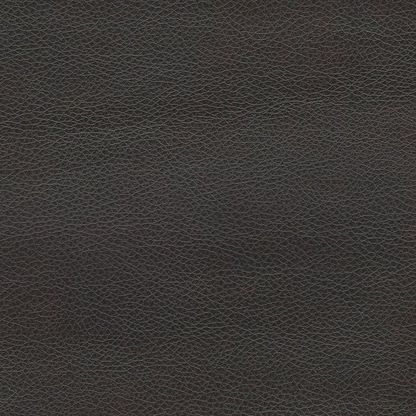Renegade Leather Upholstery Fabric - Home & Business Upholstery