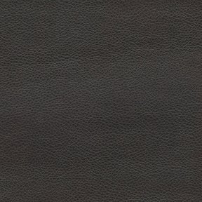 Picture of Renegade Leather upholstery fabric.