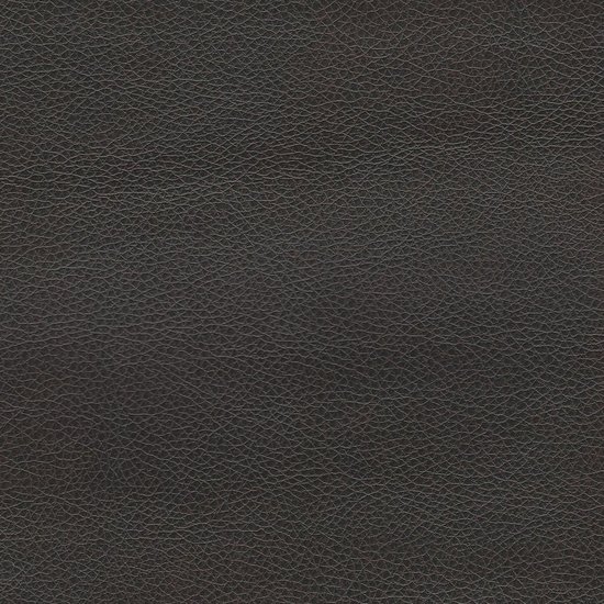 Picture of Renegade Leather upholstery fabric.