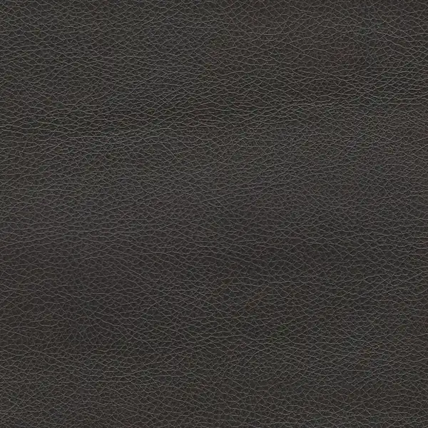 Picture of Renegade Leather upholstery fabric.