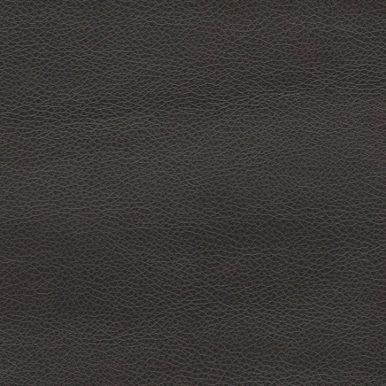 Picture of Renegade Leather upholstery fabric.