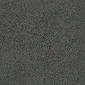 Picture of Renegade Charcoal upholstery fabric.