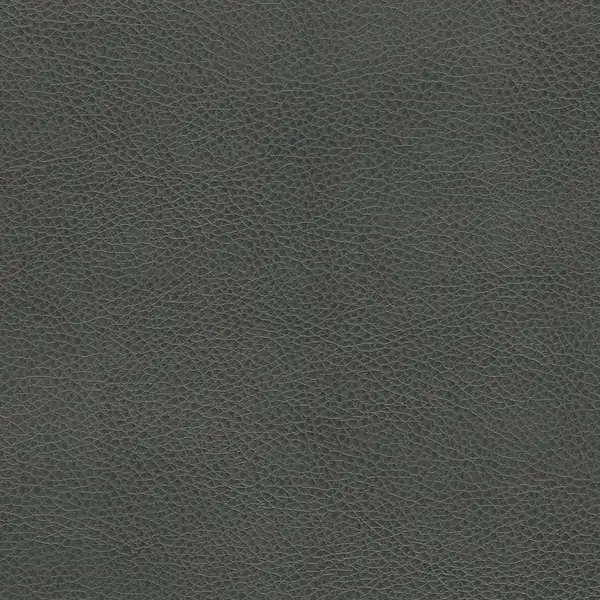 Picture of Renegade Charcoal upholstery fabric.