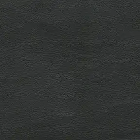 Picture of Renegade Black upholstery fabric.