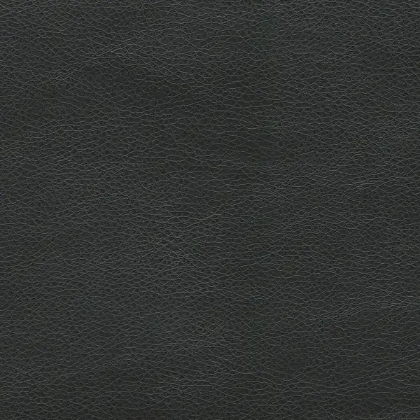 Picture of Renegade Black upholstery fabric.
